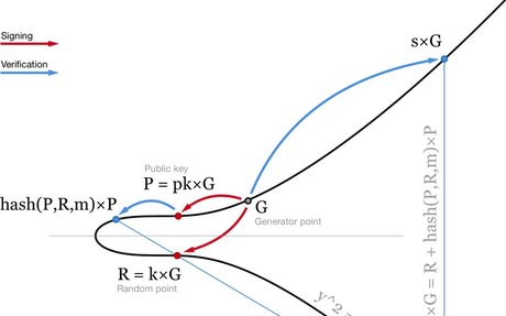 Bis cryptocurrency looking beyond the hype