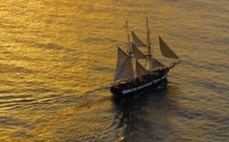 William shakespeare primary homework help William shakespeare primary homework help