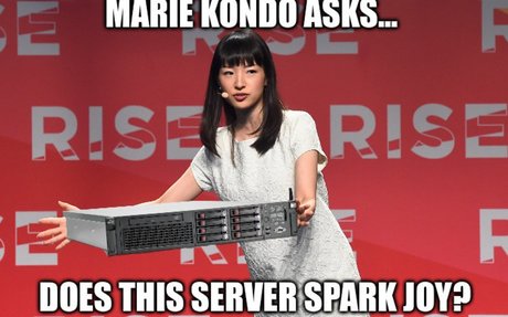 The Vacuole of the Cell | elink