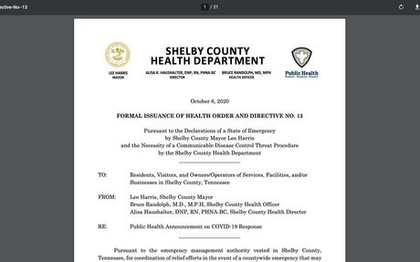 Printable Health Directive 13