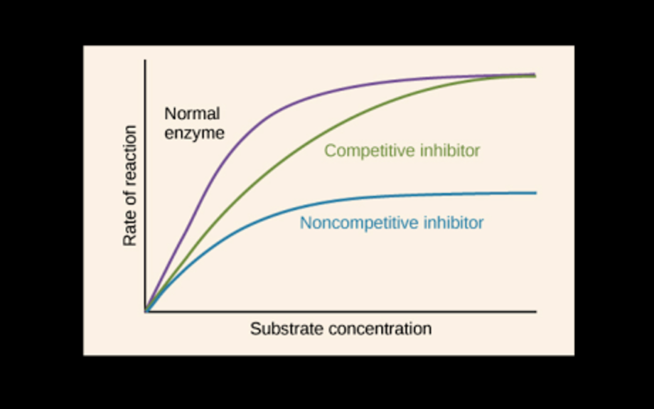 Metabolism Enzymes Elink metabolism-enzymes-elink
