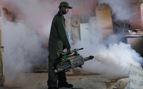 The Awful Diseases on the Way