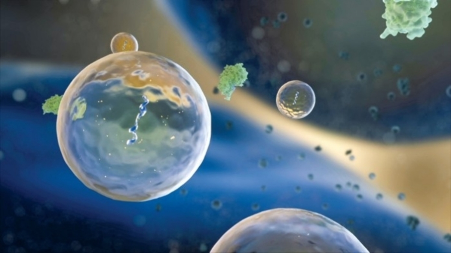 what-is-a-vesicle-elink