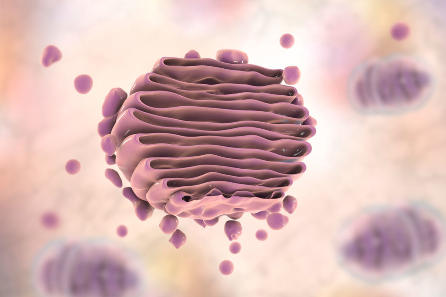 Golgi Apparatus Elink